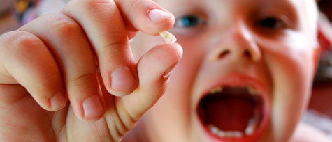 MANEIRAS DE TIRAR O DENTE DE LEITE DO SEU FILHO MANEIRAS DE TIRAR O DENTE DE LEITE DO SEU FILHO